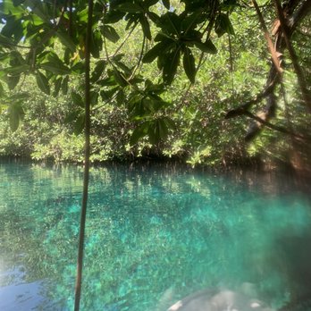 Casa Cenote - Diving Near Me - Tulum, ROO