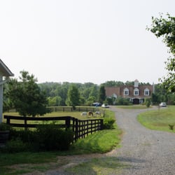 Cheesecake Farms - The house from the barn.