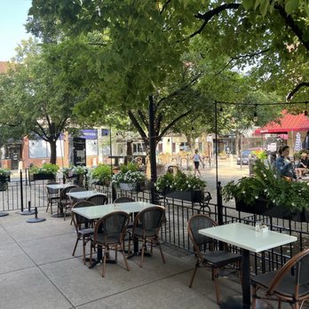 Willow Cafe And Bistro - Patio on the square - Cafes Near Me - Chicago, Illinois