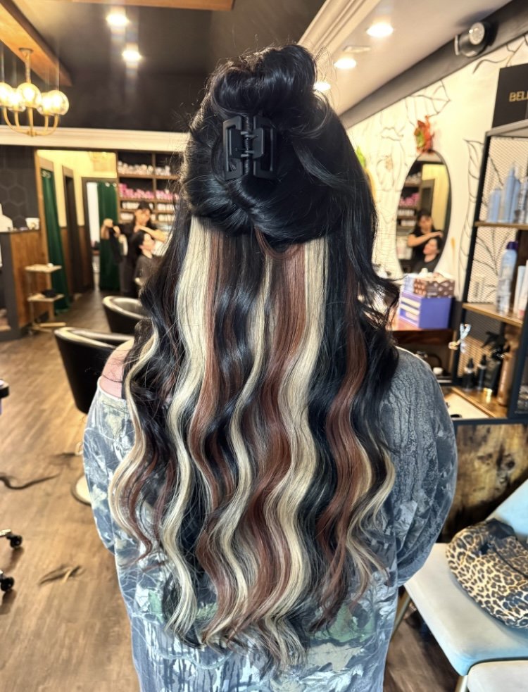 Hailey Holland Hair Salon Logo