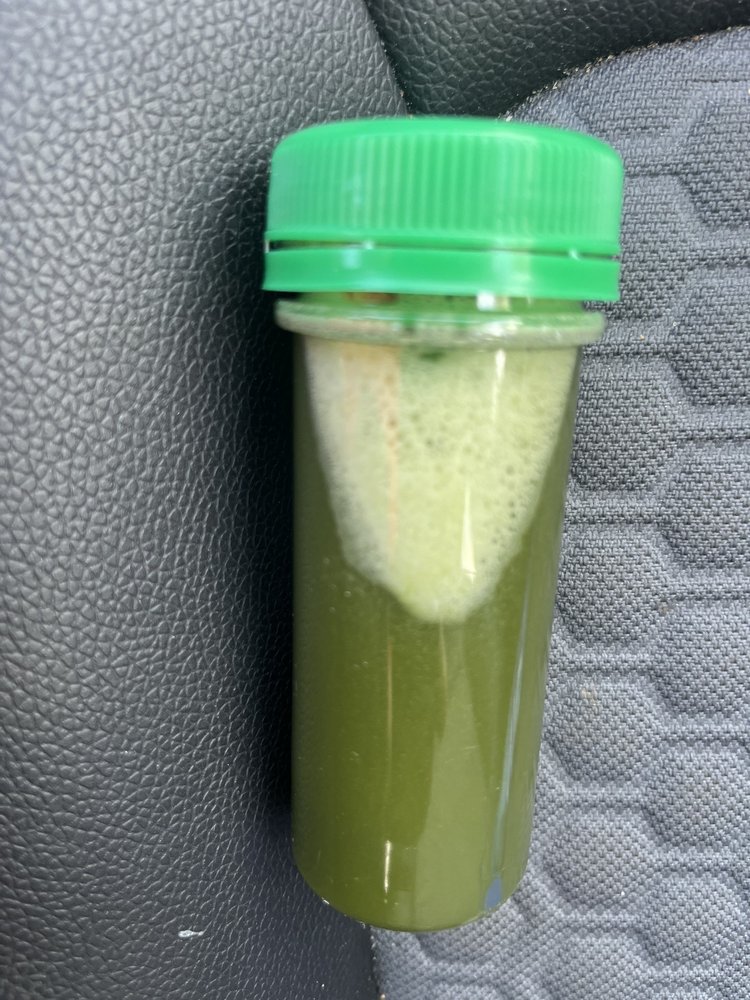 WHEATGRASS JUICE BAR Updated September 2024 83 Photos & 10 Reviews