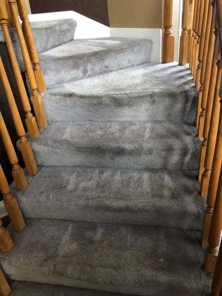 FRANK’S CARPET CARE 19 Photos & 44 Reviews Carpet Cleaning Elk