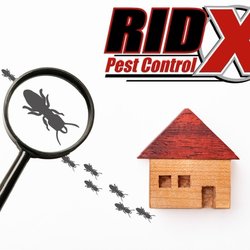 Ridx Pest Control