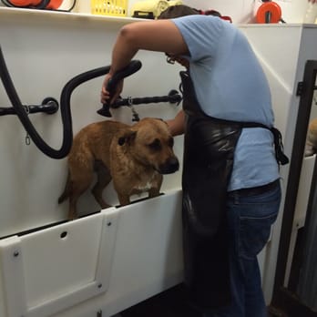 Self Serve Pet Spa - Sarge & Steven 3/31/2015 - Pet Groomers Near Me - Bakersfield, California