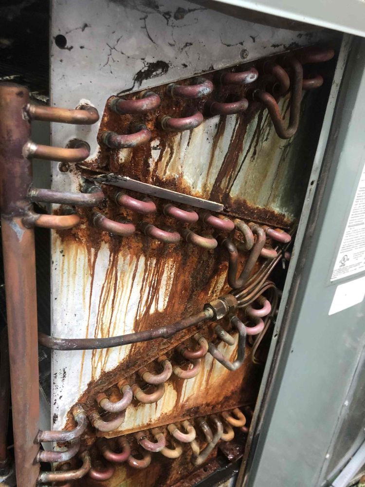 Slide of Swift Brothers