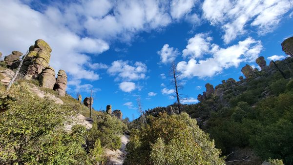 Chiricahua National Monument by null