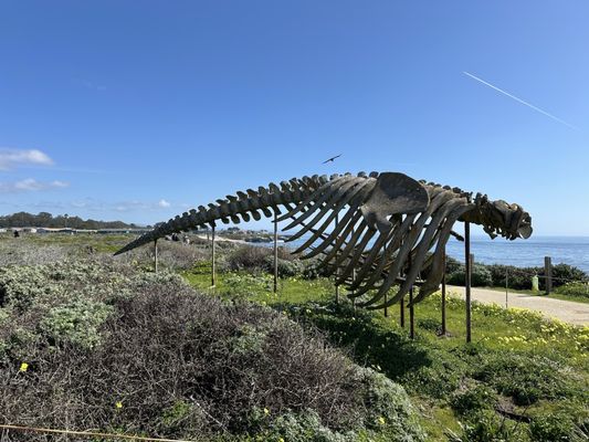 Seymour Marine Discovery Center by null