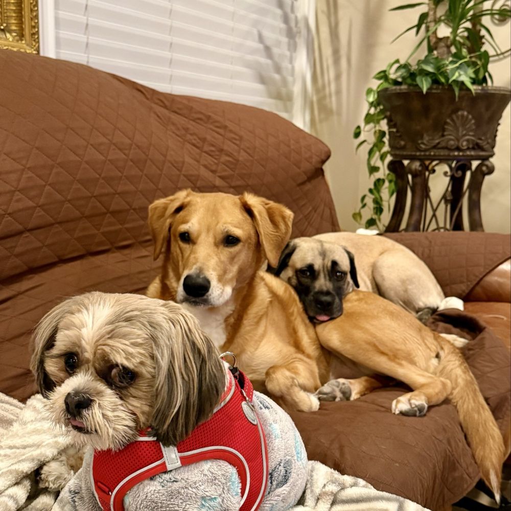 TOP 10 BEST Veterinarians Open on Sunday in Mission Viejo, CA - Updated  2026 - Yelp