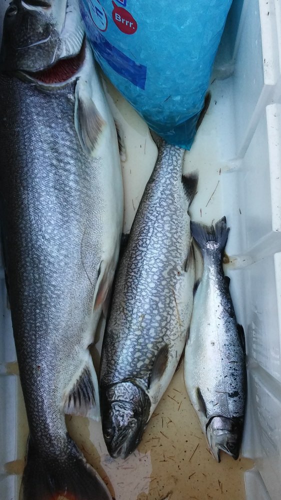 Social spots from Fishing With Captain Ted