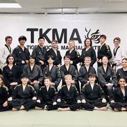 Tiger Kicks Martial Arts