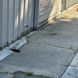 Tacoma Police Headquarters - Human feces, black fleet brewery.
