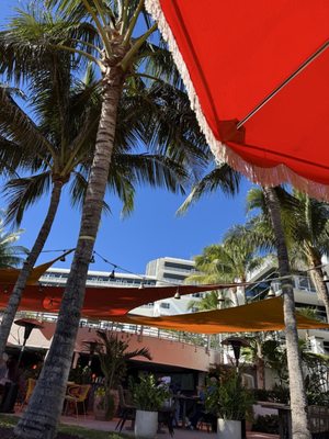 The Ritz-Carlton, South Beach by null