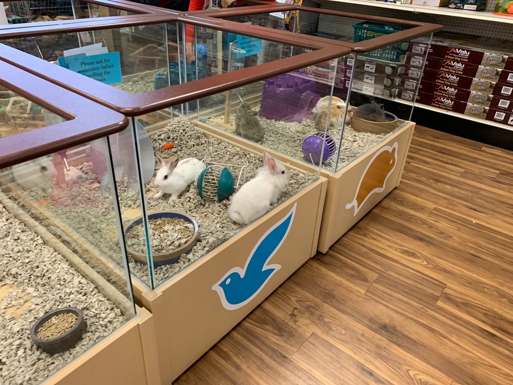 PETLAND HENDERSON 111 Photos & 235 Reviews Pet Stores 510 Marks St, Henderson, NV Phone