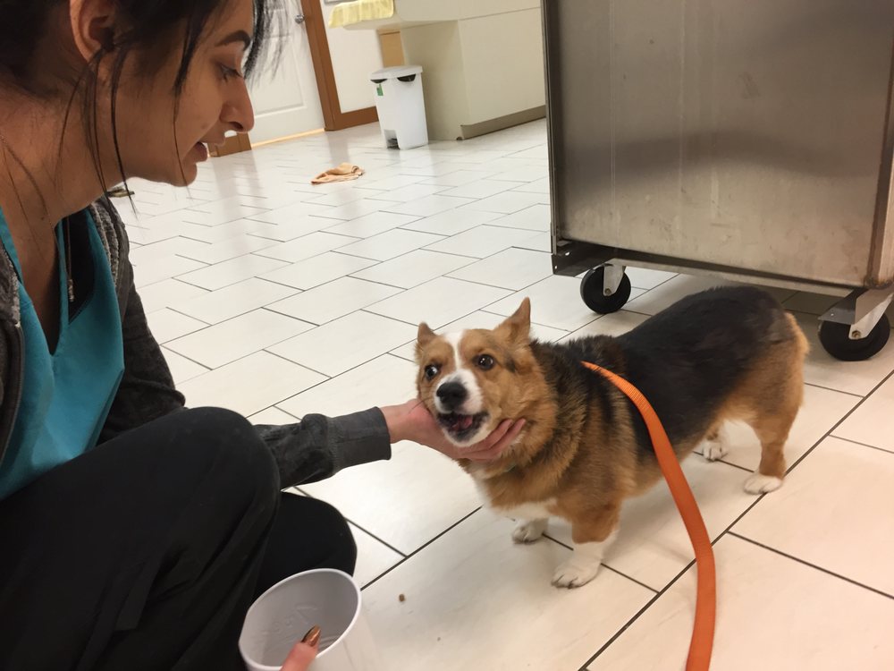 MURRAYVILLE ANIMAL HOSPITAL Updated October 2024 22259 48 Avenue