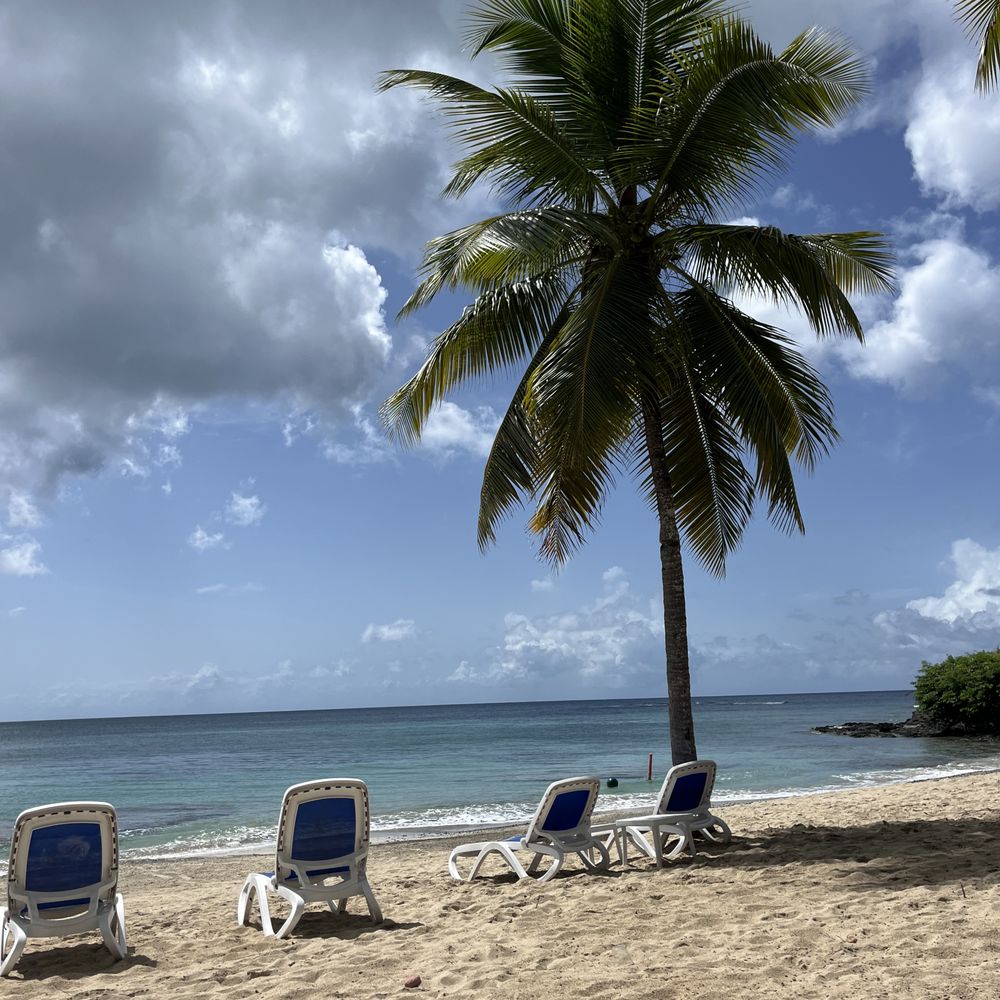 The Buccaneer Hotel - Beach area - Hotels Near Me - Christiansted, Virgin Islands