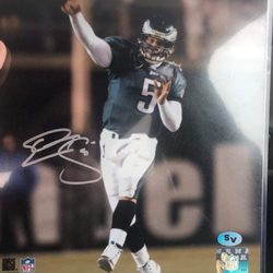 Sports Vault - Donovan Mcnabb 8x10