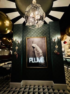 Plume by null