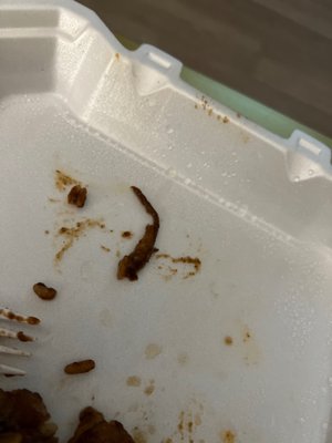 Caribbean Delight by null