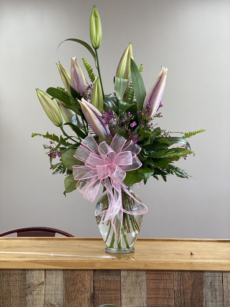 PLANTS & ANSWERS Updated October 2024 3600 Spring Garden St