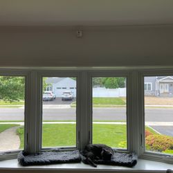 Renewal by Andersen of Long Island - Interior shot of new bow window (plus Aulie).