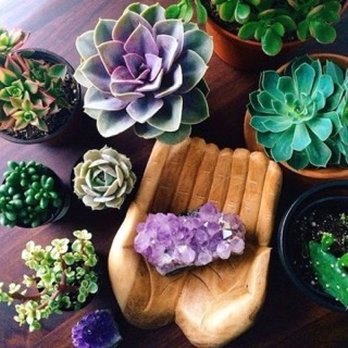 Wizdom Within - Feng Shui Near Me Wizdom Within - Feng Shui Near Me
