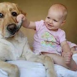 Capital Area Pediatrics - Falls Church - Dog with baby