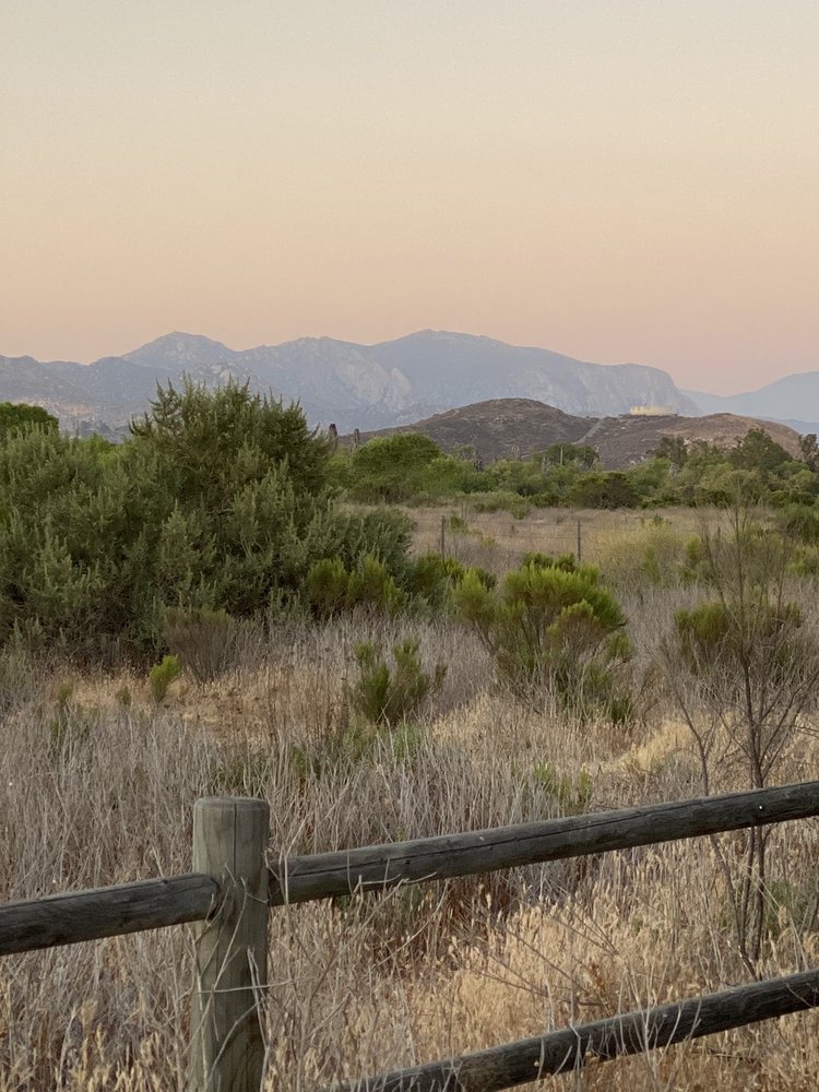 PARC ONE Updated August 2024 39 Photos & 42 Reviews 320 Town