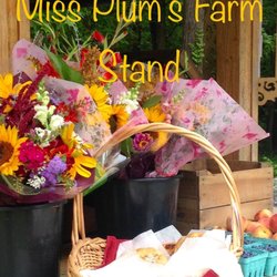 Miss Plum’s Farm Stand - Fresh Cut Flowers and Delicious Focaccia!!!