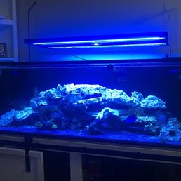 New scape - lights on New scape - lights on