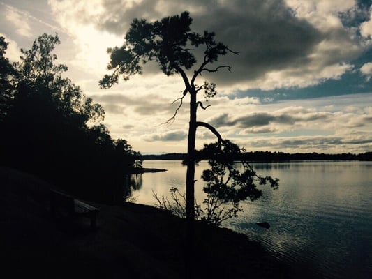Seurasaari by null