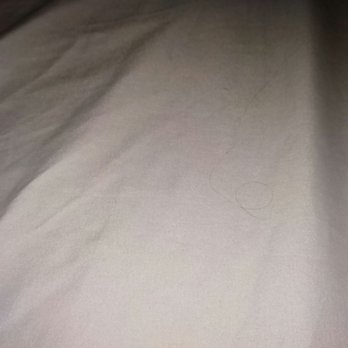 Geronimo Creek Retreat - Hair on the bed from the last person staying there. - Vacation Rentals Near Me - Seguin, Texas Geronimo Creek Retreat - Hair on the bed from the last person staying there. - Vacation Rentals Near Me - Seguin, Texas