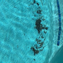 Pools and Spas by Van Brill