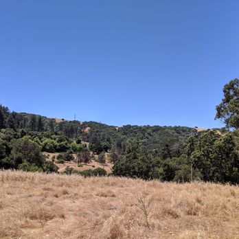 Briones Regional Park - Parks Near Me - Martinez, California Briones Regional Park - Parks Near Me - Martinez, California