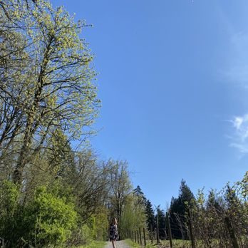 Matsqui Trail Regional Park - Hiking Near Me Matsqui Trail Regional Park - Hiking Near Me