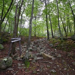 F Gilbert Hills State Forest