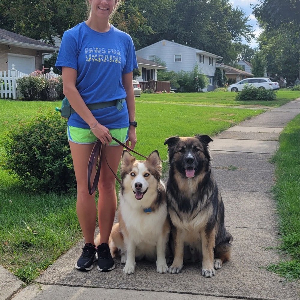 All Purpose K-9 - Pups - Pet Training Near Me - Columbus, Ohio