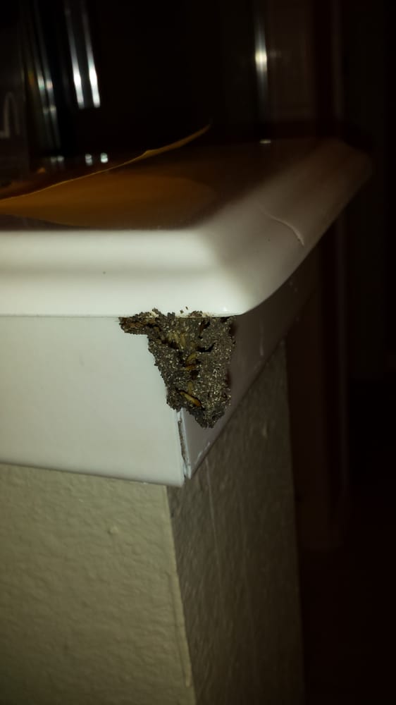 ACME PEST & TERMITE CONTROL Updated July 2024 1147 Mineral Springs