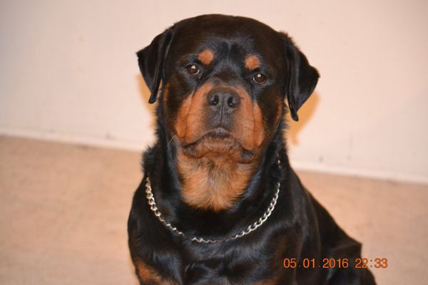 LOWE’S HOME IMPROVEMENT - Updated October 2025 - 20 Photos & 44 Reviews