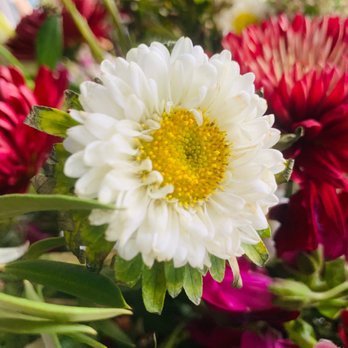 Ojai Flowers - Florists Near Me