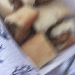 Chicken Nuggets