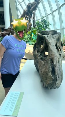 Discovery Park of America by null