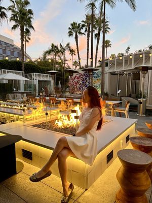 Sugar Palm Santa Monica by null