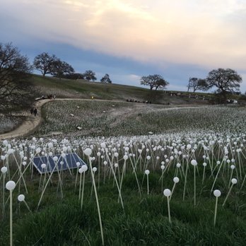 Sensorio - Art Galleries Near Me - Paso Robles, California