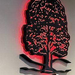 Sycamore - Sycamore tree!!