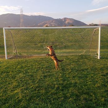 Padua Park - Parks Near Me - Claremont, California Padua Park - Parks Near Me - Claremont, California