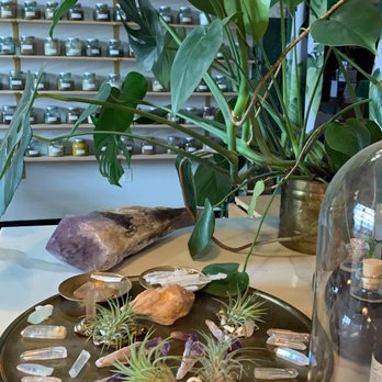Anima Mundi Apothecary - The plant bar - Health Markets Near Me - Brooklyn, New York