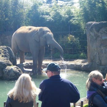 Dublin Zoo - Zoos Near Me - Dublin, D Dublin Zoo - Zoos Near Me - Dublin, D