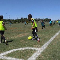 My Soccer Academy - U9 soccer teams
