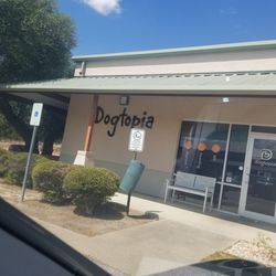 Dogtopia