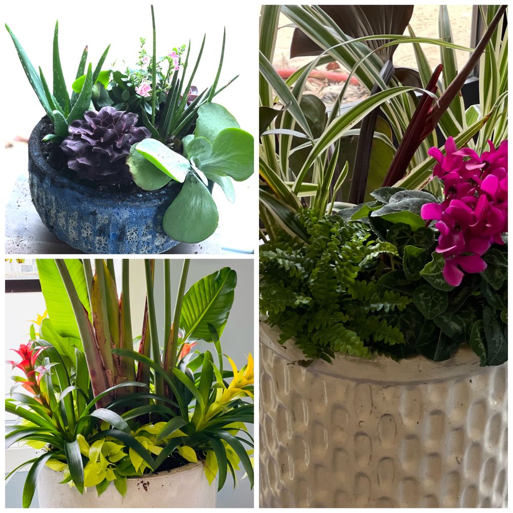 Cherry Street Marketplace Image